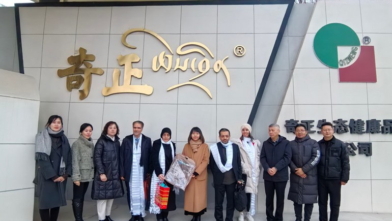 深掘藏醫瑰寶，共繪健康新篇——伊朗代表團蒞臨奇正集團參訪(fǎng)交流